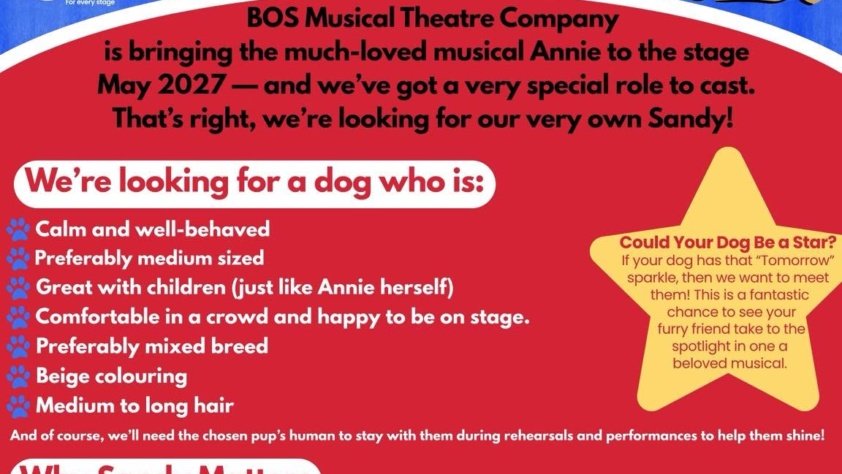 BOS Musical Theatre Company Looking for SANDY